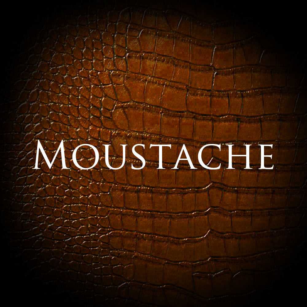 Moustache - Bliss Pour l'Homme