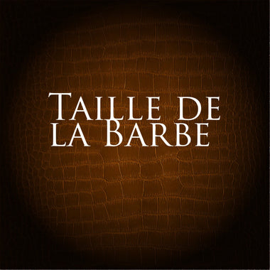Taille de la Barbe - Bliss Pour l'Homme